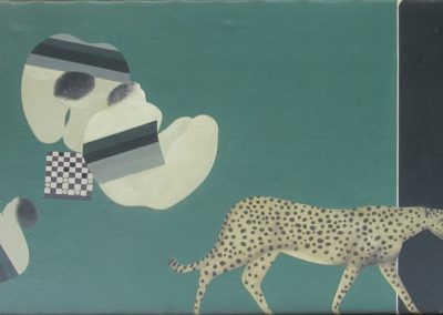 Il passaggio del leopardo